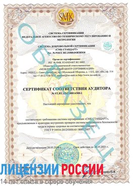 Образец сертификата соответствия аудитора №ST.RU.EXP.00014300-1 Новый Рогачик Сертификат OHSAS 18001