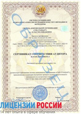 Образец сертификата соответствия аудитора №ST.RU.EXP.00006191-3 Новый Рогачик Сертификат ISO 50001